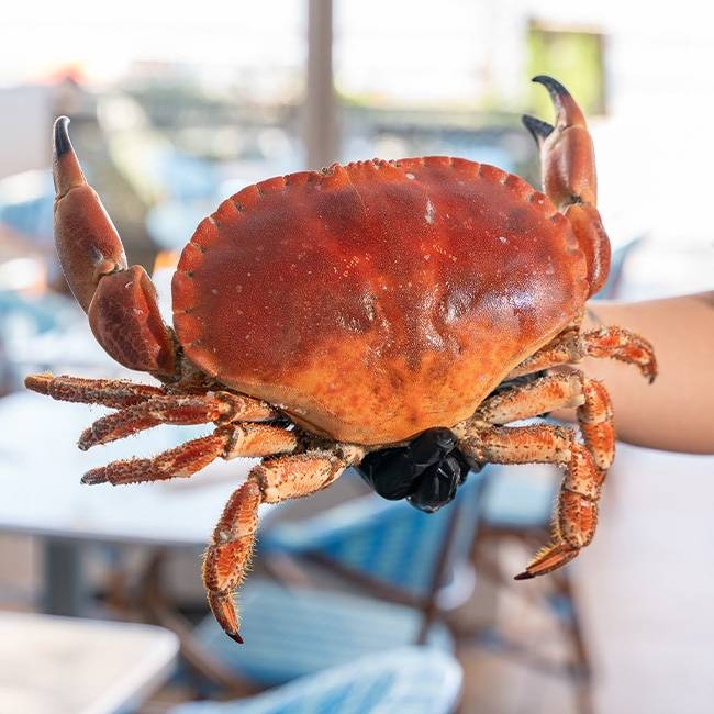 La Brasserie des Terrasses - restaurant Marseille - Restaurant Port de Marseille